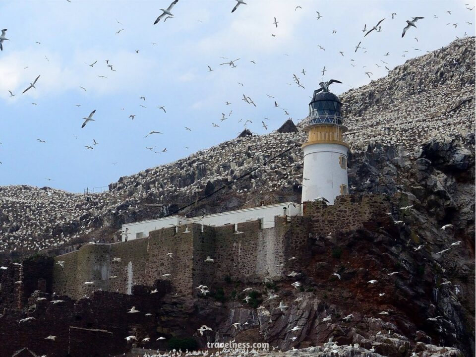 Bass Rock Lighthouse