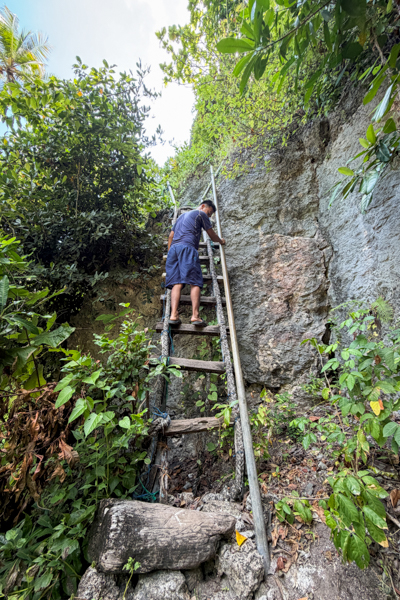 Climbing a wooden ladder