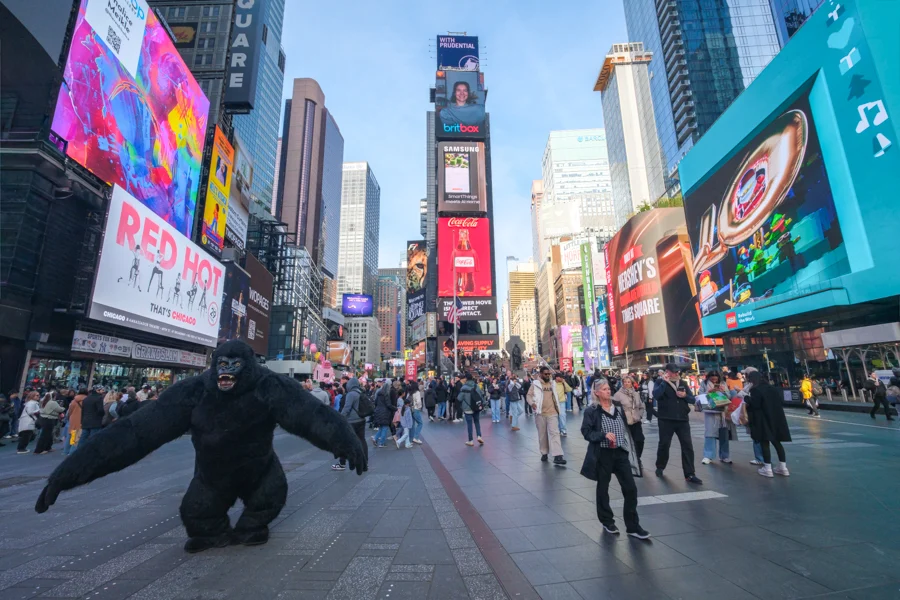 Times Square in New York City