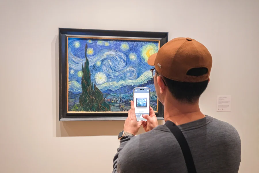 Starry Night painting by Vincent Van Gogh at the Metropolitan Museum of Art in New York City NYC