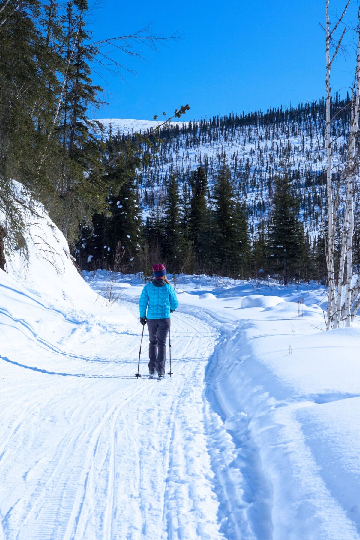 Cross Country Skiing Alaska