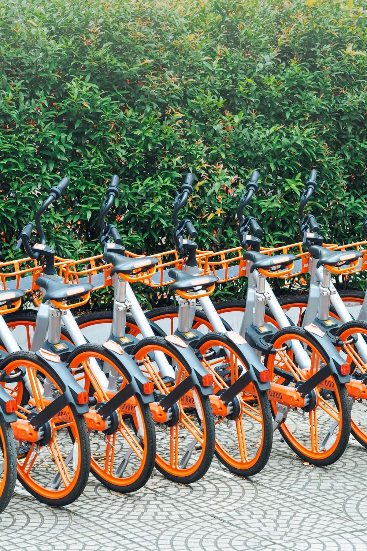 Bicycles Da Nang