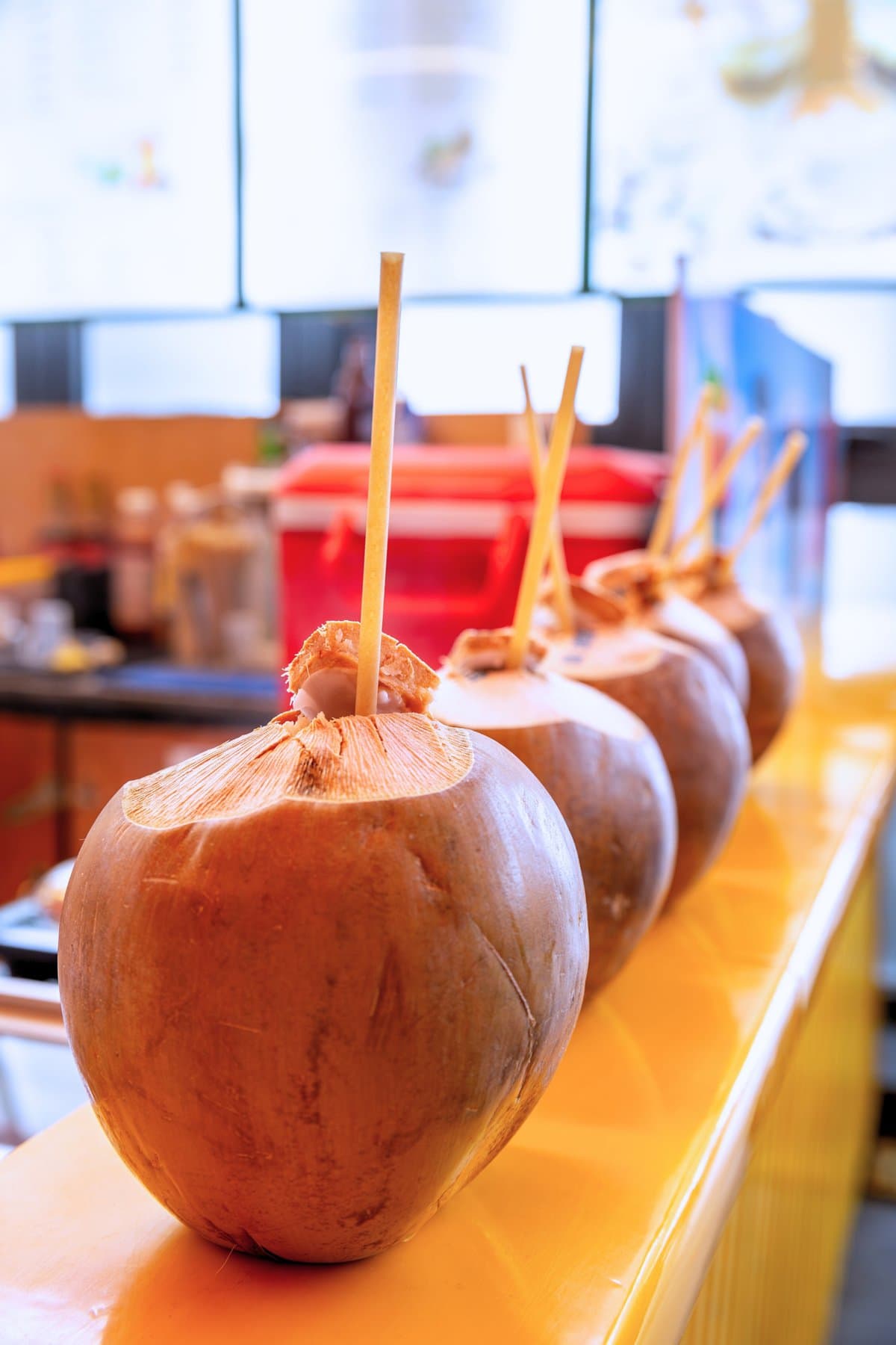 Coconut Drinks