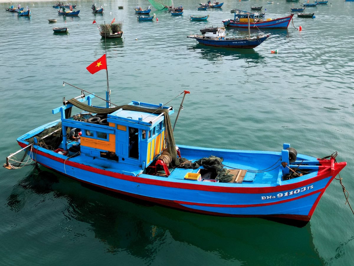 Fishing Boats Da Nang
