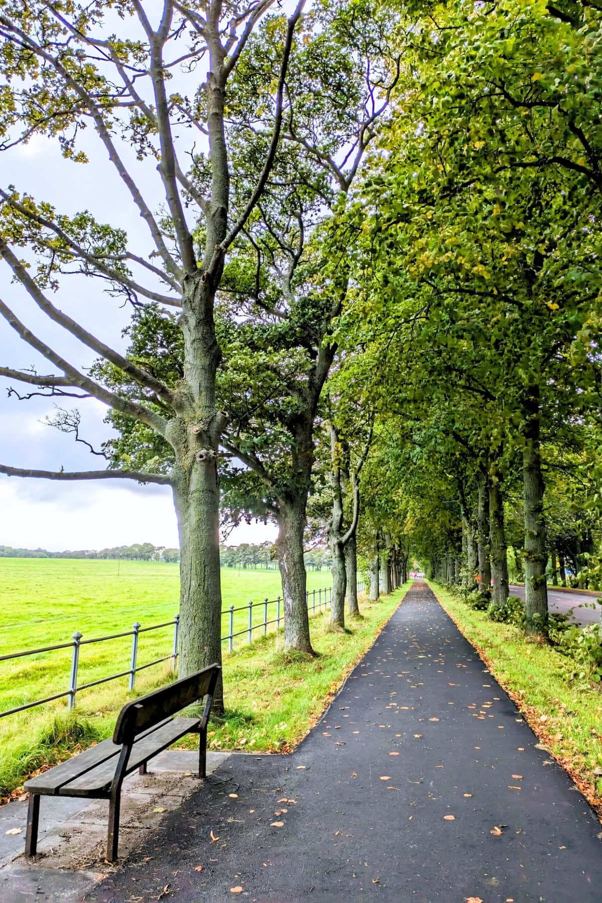 Town Moor, Newcastle Upon Tyne, Uk