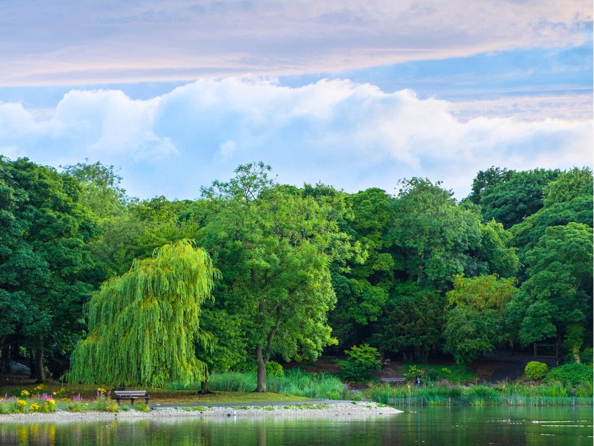 Beautiful Landscape of Trees and Pond at Leases Park in Newcastle, Uk