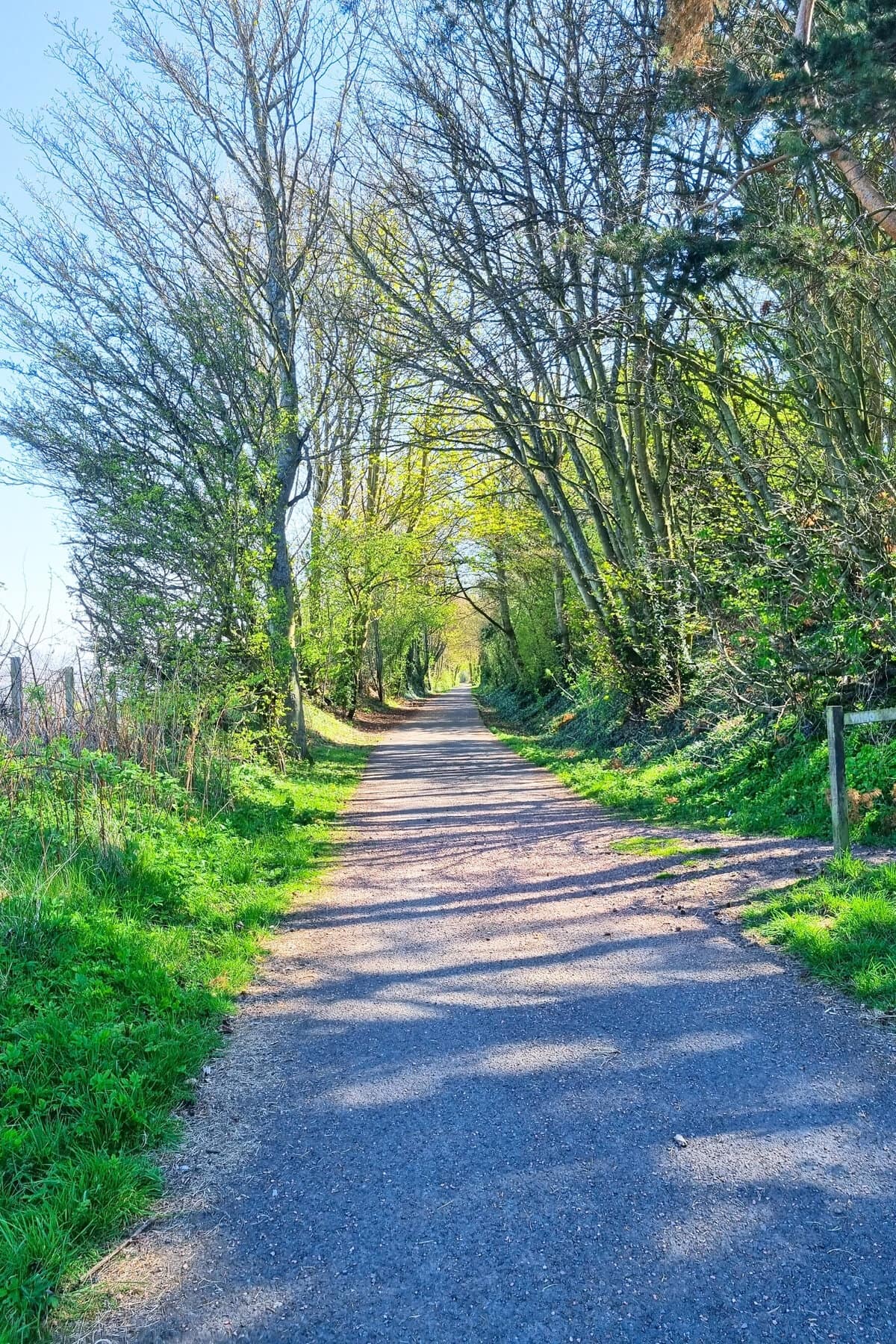 Coastal Path Along the River Tay