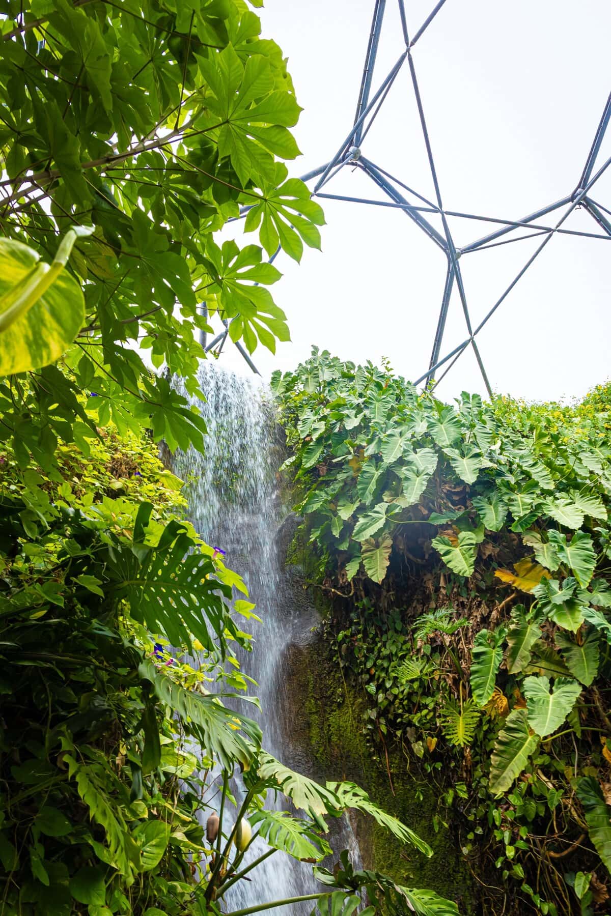 Eden Project S Geodesic Biome