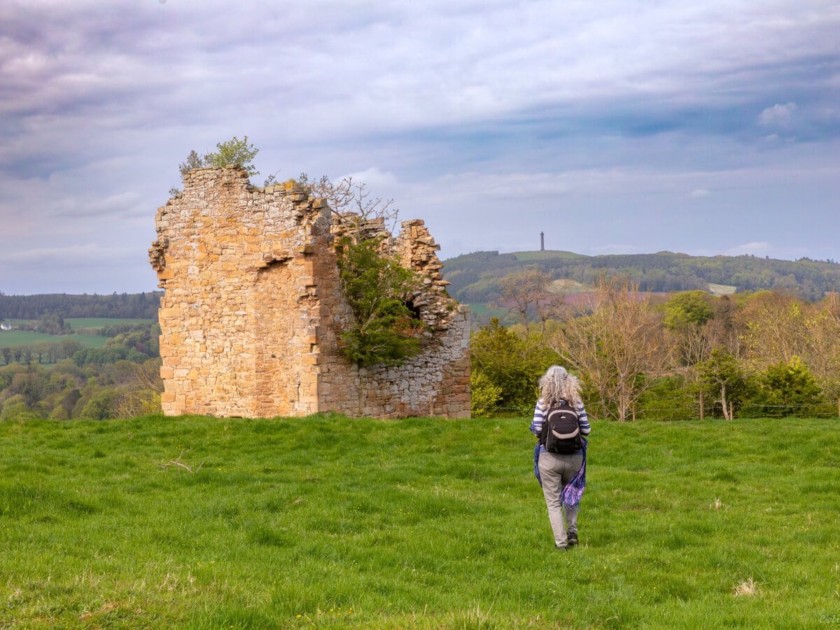 The ruins of the 15th-century Timpendean tower, once called Typenden castle, near Jedburgh in the Scottish Borders area of Scotland